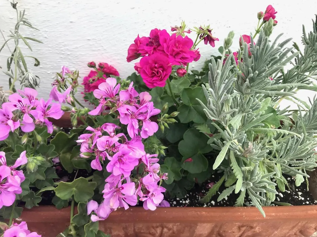 فيلا Casa Del Teatro Luxury Casas Vejer Debra مْبيخير ذي لا فرونتيرا شاليه